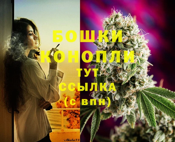 spice Заволжье